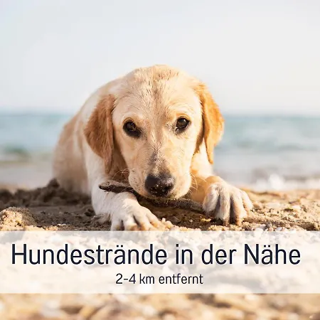 Appartement Ramoshansenhof Foerdebrise Mit Sauna