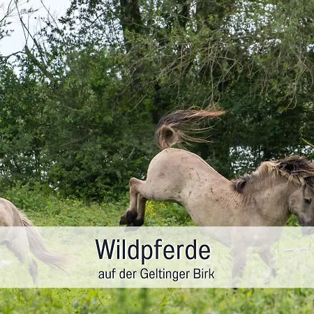 Apartamento Ramoshansenhof Foerdebrise Mit Sauna Steinberg (Schleswig-Holstein)