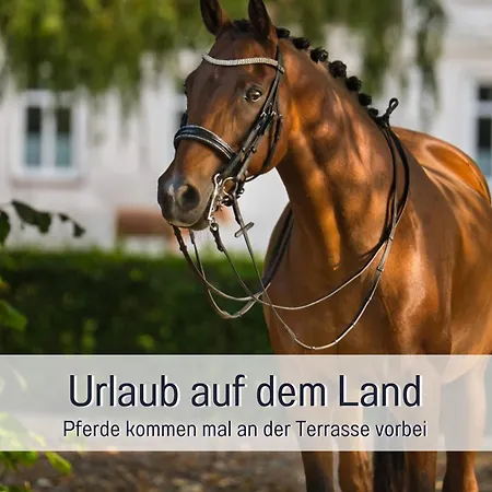 Appartement Ramoshansenhof Foerdebrise Mit Sauna Steinberg (Schleswig-Holstein)